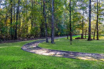 Beautiful walking trail